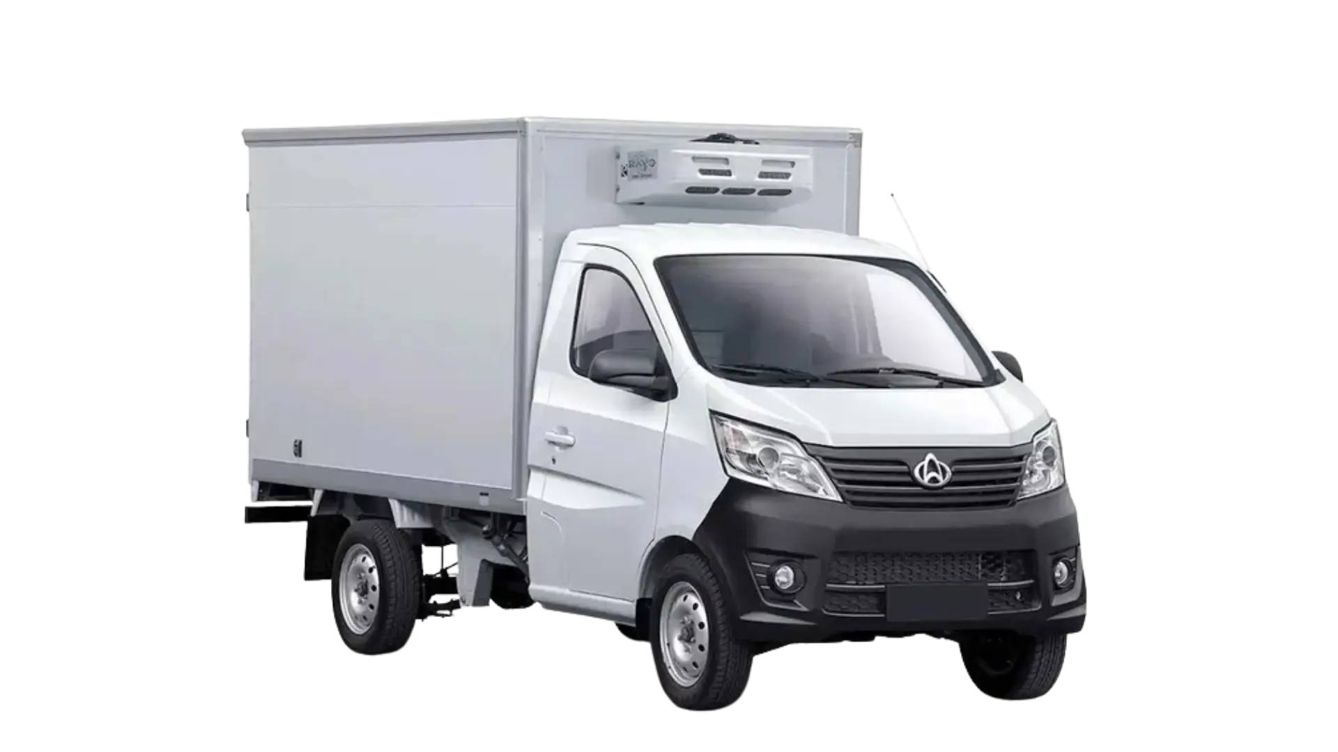 Vehículo utilitario blanco